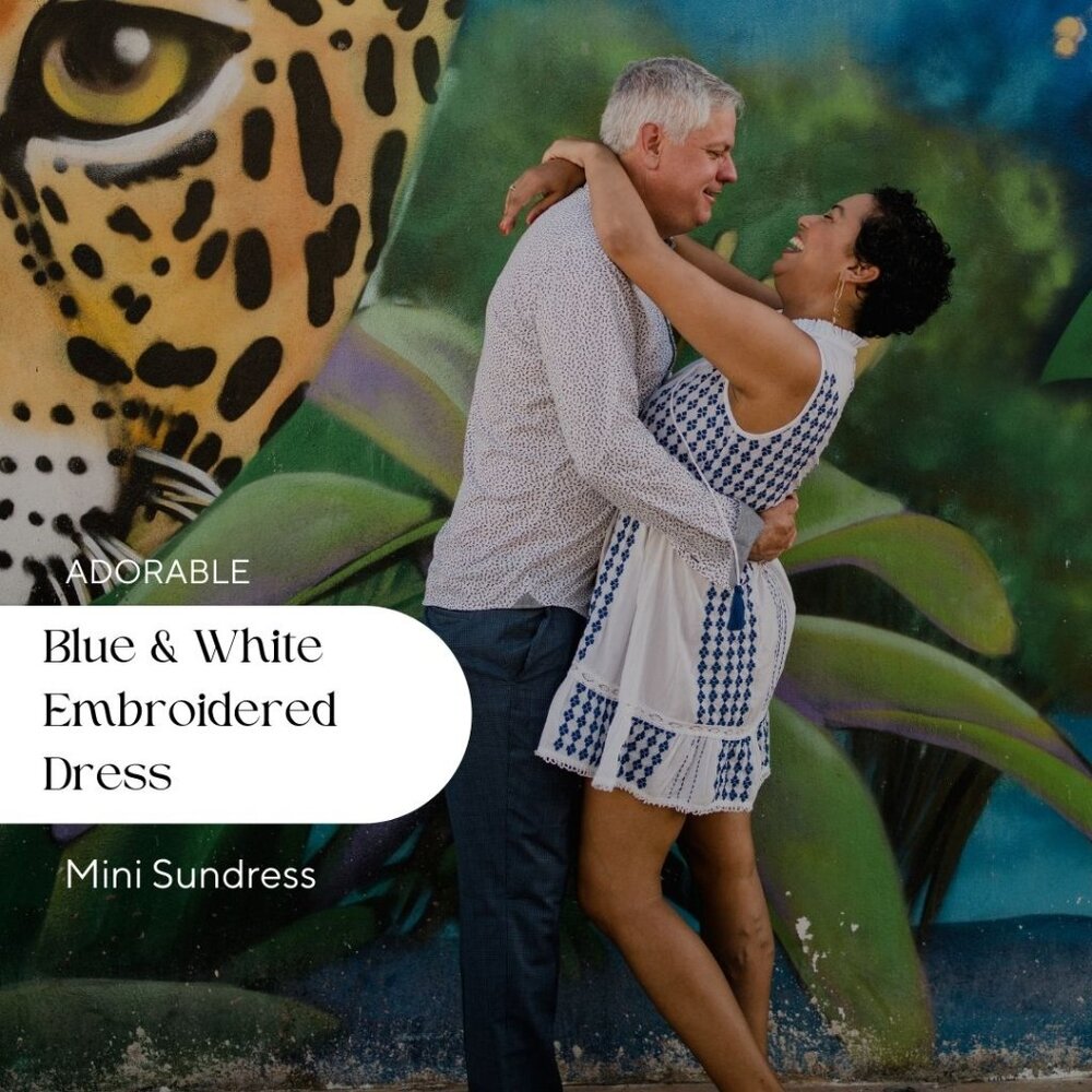 Area Stars Embroidered Blue and White Sundress